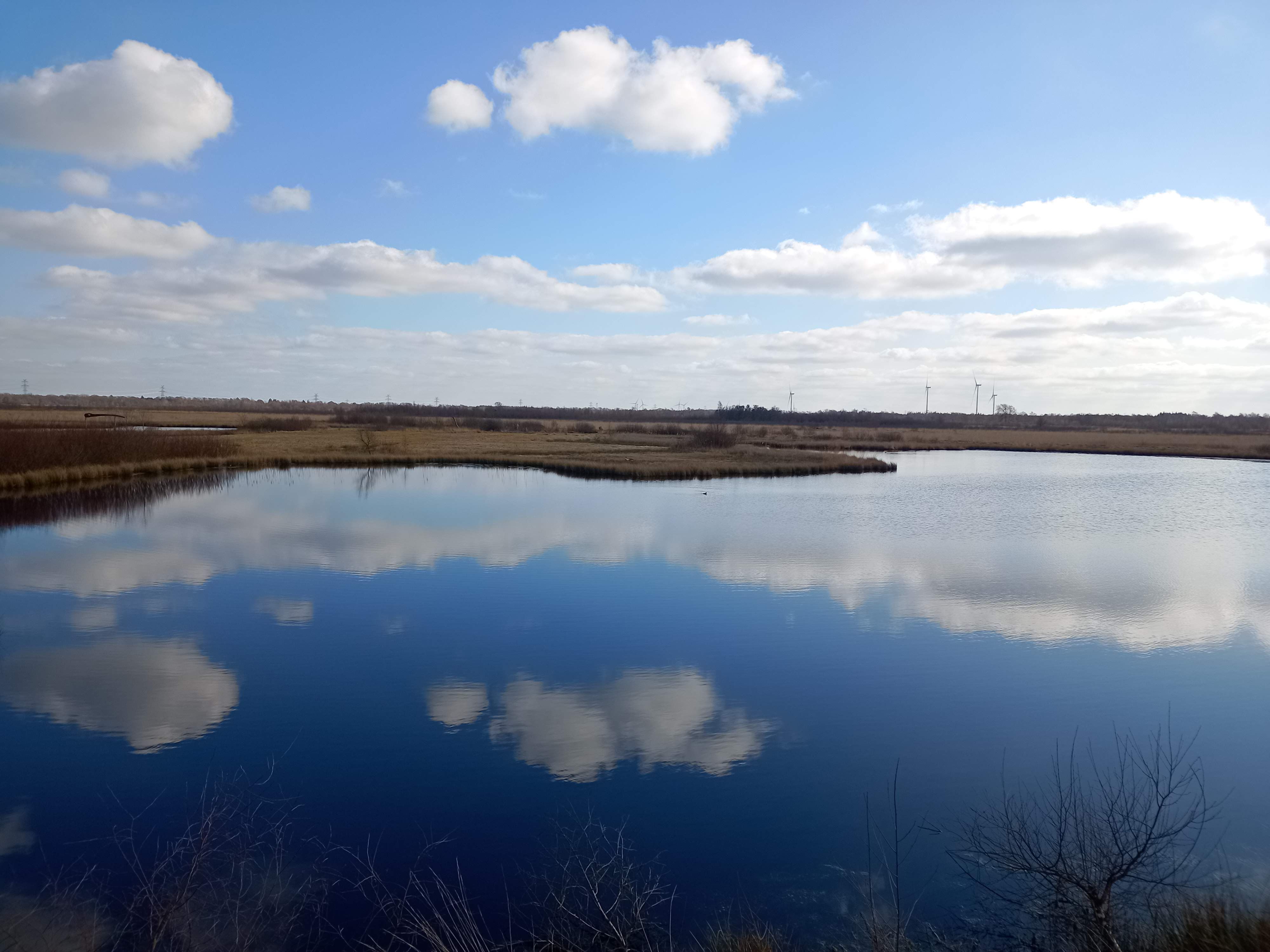 Stille Wasserfläche, dunkle Bäume am Ufer