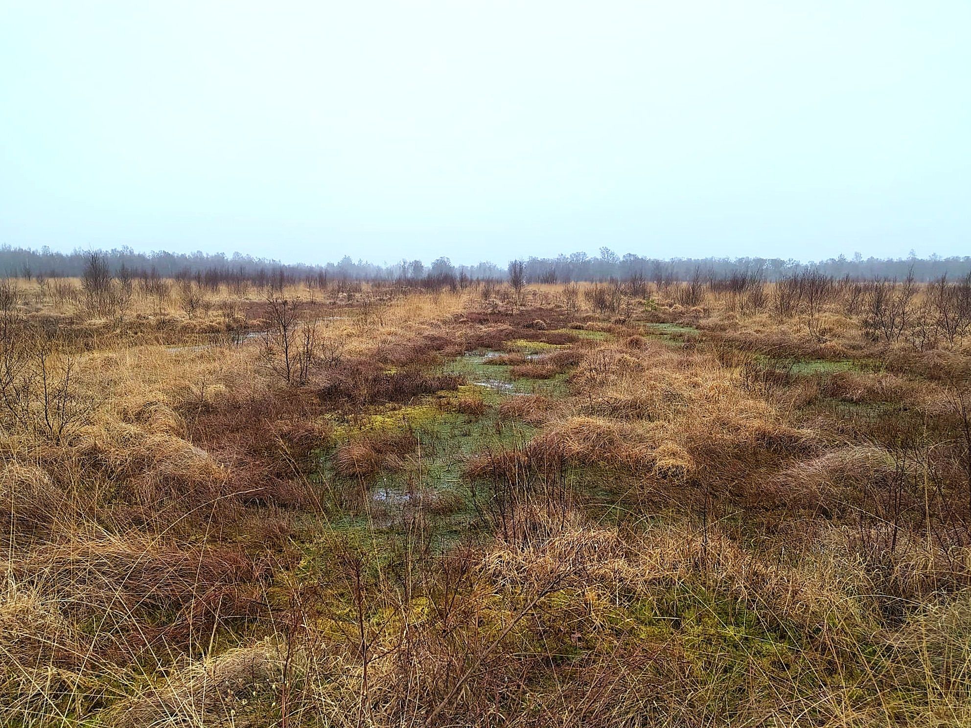 Weite Landschaft unter dramatischem Himmel