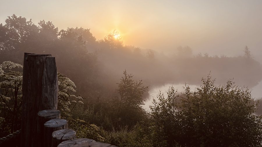 Morgendliche Stimmung am Ausguck — Foto: Sünje Doose 