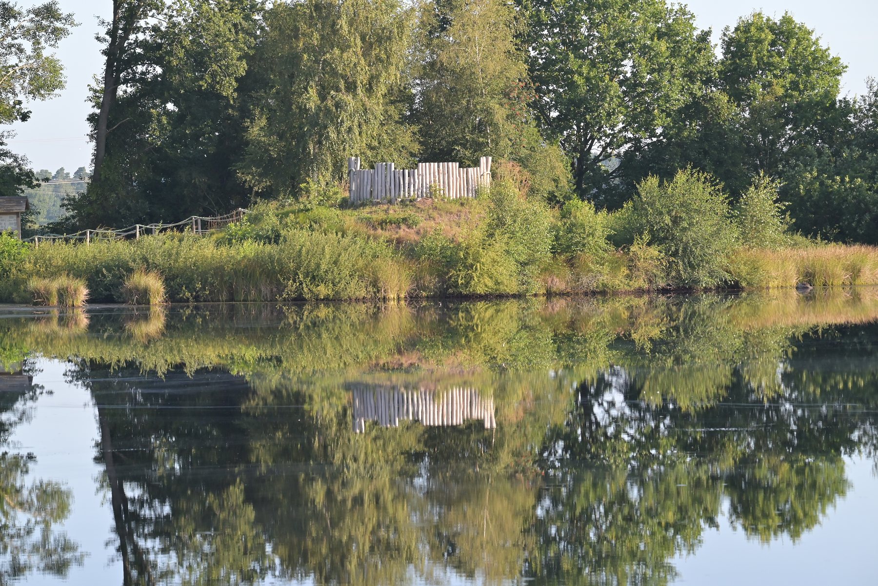 im Wilden Moor — Foto: Ingo Borchert