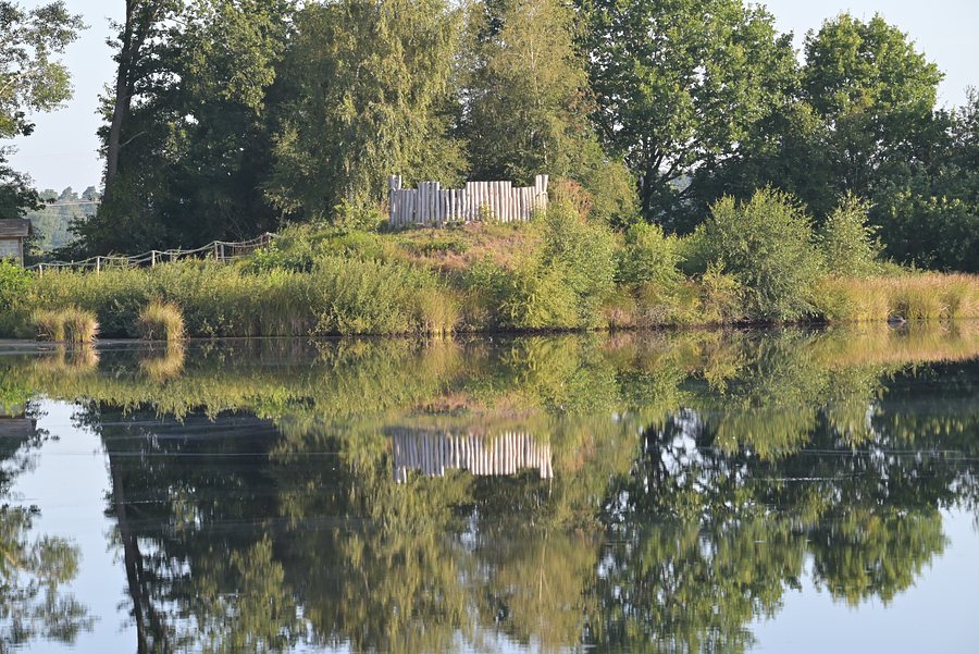 im Wilden Moor — Foto: Ingo Borchert